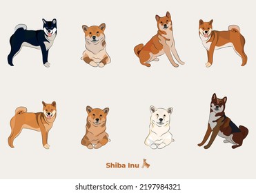 Shiba Inu breed, dog pedigree drawing. Cute dog characters in various poses, designs for prints adorable and cute Shiba cartoon vector set, in different poses.