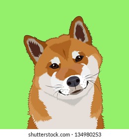 Shiba inu, Der Kumpelhund