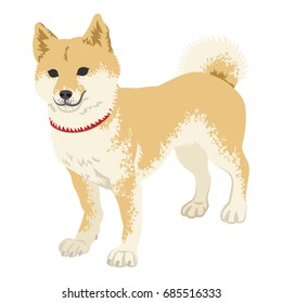 Shiba inu Clip art - Standing, Full length
