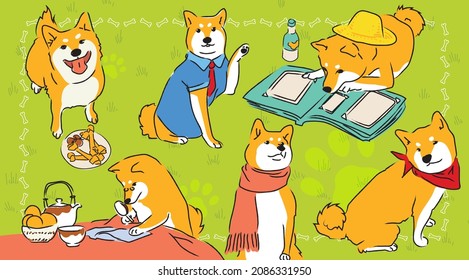 Shiba Inu Collection with funny dress up - picnic, eat, winter, Japanese desk, reading dog, working dog, waiting for command