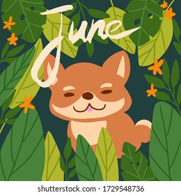 Shiba inu cute japan dog greeting cards