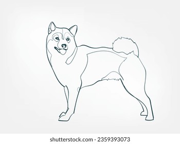 Dibujo de línea vectorial de raza animal Shiba Inu