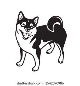 Shiba Inu dog breed - isolated vector illustration