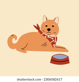 Shiba Inu dog breed - isolated vector illustration. Vector illustration