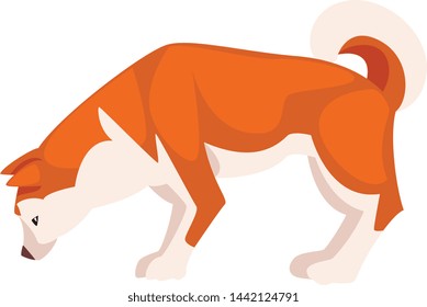 Shiba Inu Dog, Cute Sniffing Pet Animal, Side View Vector Illustration