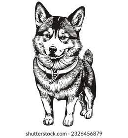 Logo dibujado a mano por el perro Shiba Inu dibujo arte de la línea negra y blanca ilustración de mascotas raza realista