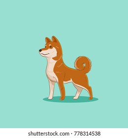 Shiba inu Hundegrafik