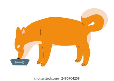 Shiba Inu perro aislado sobre fondo blanco. Los perros japoneses se reproducen. Ilustración de perro feliz. Diseño de Vector plano simple para impresión.