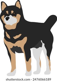 Shiba Inu Dog Minimal Flat Vector Illustration