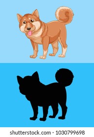 Shiba inu dog on blue screen illustration