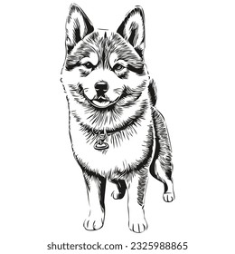 Shiba Inu dog pet silhouette, animal line illustration hand drawn black and white vector