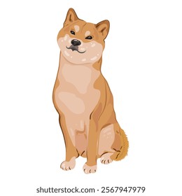 A Shiba Inu dog sits and watches. Red Japanese dog with a smile. Vector isolated image in a flat style for card or gift. Domestic animal. Detailed flat vector icon.