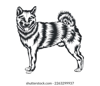 Shiba Inu Dog Vector Illustration, Shiba Inu breed Vector on White Background for t-shirt , logo and others