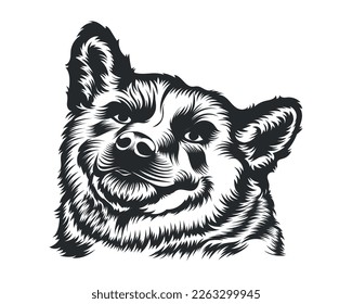 Shiba Inu Dog Vector Illustration, Shiba Inu breed Vector on White Background for t-shirt , logo and others