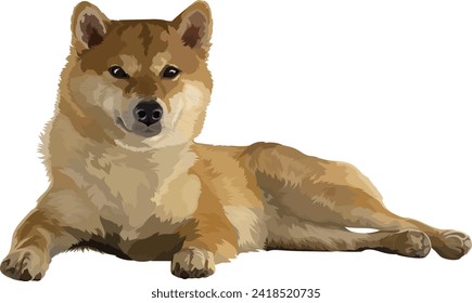 Shiba Inu dog vector illustration of a pet, Adobe Illustrator, EPS