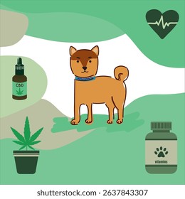 Shiba Inu dog vector with dog vitamins, cannabidiol (CBD) drops, cannabis plant, and heart cardiogram on green eco background for holistic pet health.