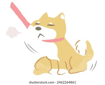 Shiba Inu, un perro que se niega a ser llevado a pasear y no se mueve