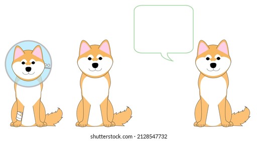Shiba Inu dogs with Elizabethan collar and speech balloon. 