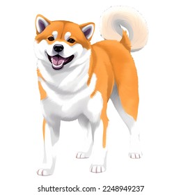 shiba inu drawn digital painting watercolor illustration