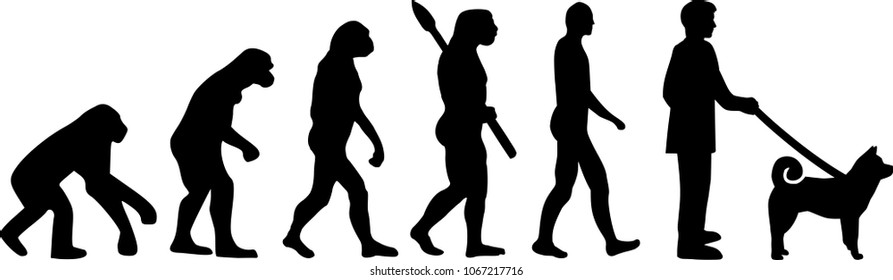Shiba inu evolution with silhouettes