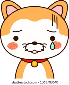 Shiba Inu expression cry