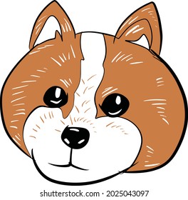 Shiba Inu hand drawn illustration 