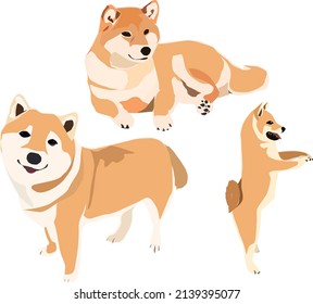 
Shiba Inu illustration 3 patterns