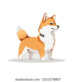 Shiba Inu Isolated White Background. Vector Illustrasion