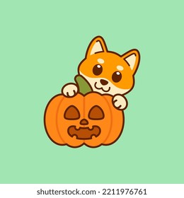 Shiba Inu With Jack o Lantern