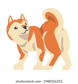 Shiba Inu as Japanese Breed of Hunting Dog with Prick Ears and Curled Tail Playing Vector Illustration