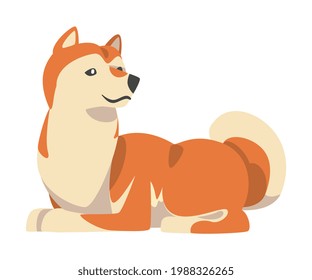 Shiba Inu as Japanese Breed of Hunting Dog with Prick Ears and Curled Tail in Sitting Pose Vector Illustration