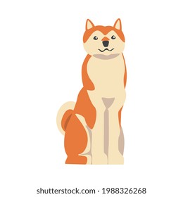 Shiba Inu as Japanese Breed of Hunting Dog with Prick Ears and Curled Tail in Sitting Pose Vector Illustration