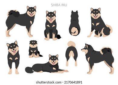 Shiba Inu, un perro japonés de pequeño tamaño con colores de abrigo, poses diferentes para el clímax.  Ilustración del vector