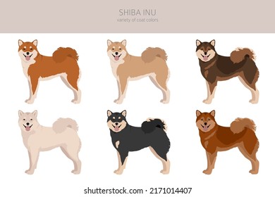 Shiba Inu, japanische kleine Hunde-Fellfarbe Farben, verschiedene Posen Clipart-Kunst.  Vektorgrafik