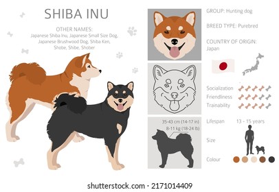 Shiba Inu, japanische kleine Hunde-Fellfarbe Farben, verschiedene Posen Clipart-Kunst.  Vektorgrafik