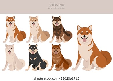 Shiba Inu, Japanese small size dog coat colors, different poses clipart.  Vector illustration