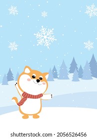 Shiba Inu on the forest with snowflake in winter.