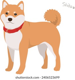 Shiba Inu redhead vector illustration