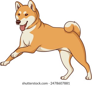 Ilustración vectorial de running de Shiba inu