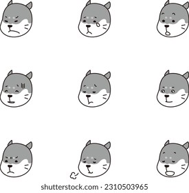 Shiba Inu with spots between eyebrows_b
