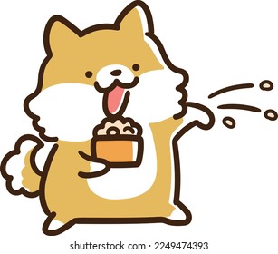 Un Inu Shiba lanzando granos