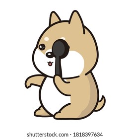 The shiba inu vision test.