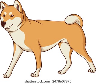 Shiba inu walking vector illustration