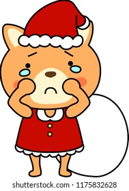 Shiba Inu's Santa Claus emotional expression