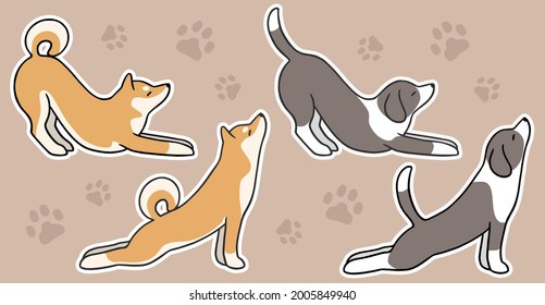 Shiba and mix dog stretching