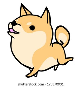 ShibaInu dog