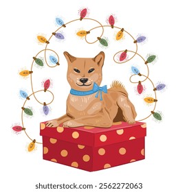 Shiba-inu dog with bow sits on a gift and around it is a garland of multi-colored lights. Red Japanese dog with a smile on a birthday box. Vector isolated image in a flat style for card or gift.