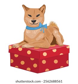 Shiba-inu dog with bow sits on a gift. Red Japanese dog with a smile on a birthday box. Vector isolated image in a flat style for card or gift.