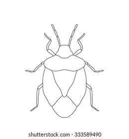 shield bug. Palomena prasina. Sketch of shield bug.  shield bug isolated on white background. shield bug Design for coloring book.  hand-drawn shield bug. Vector illustration