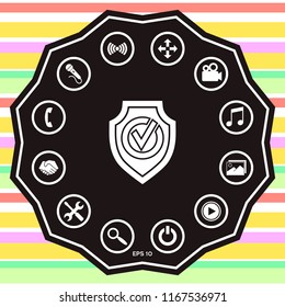 Shield with Check mark icon